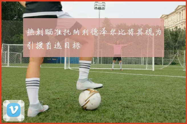 热刺瞄准托纳利德泽尔比将其视为引援首选目标